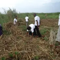 Organization Members in the garden