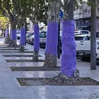 Recordando a las víctimas