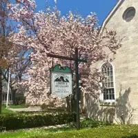 A magnolia tree blooming outside of a stone building