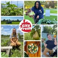 farm fresh photo collage