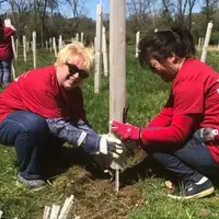 Volunteers