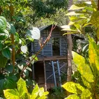 Volunteer house