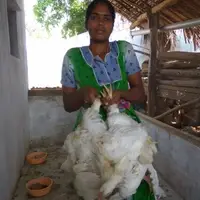 Women's Empowerment
