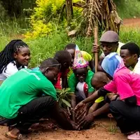 Tree Planting