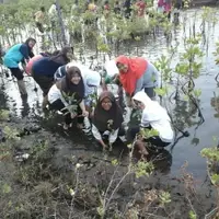 Environment Project