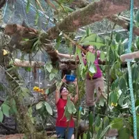Merazonia animal life enrichment