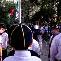 Comunidad de manada de lobitas y lobitos