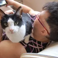 A foster cat looks up at you, while being held in her foster guardian's arms.