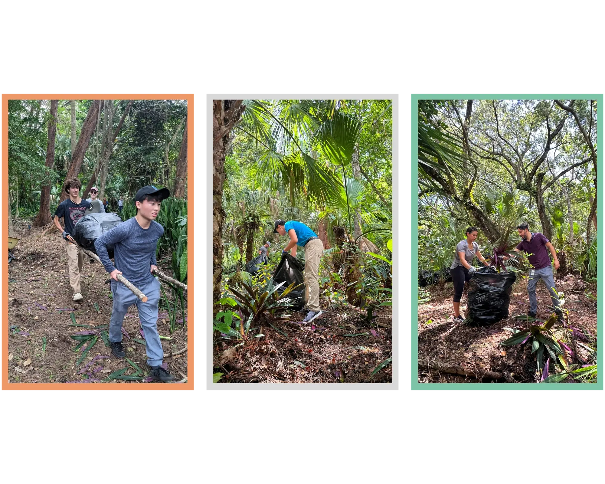 Coral Gables Pinewood Cemetery Invasive Plant Removal