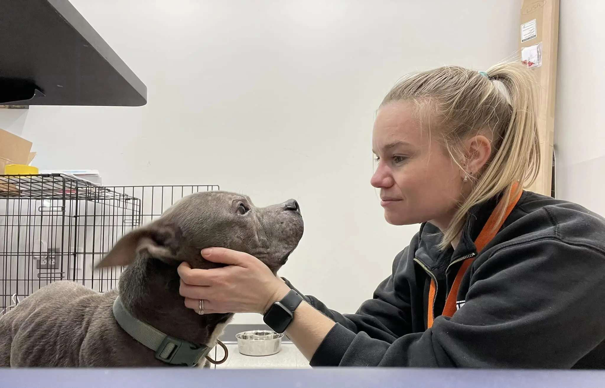 Pet Support Lobby Greeters Needed!