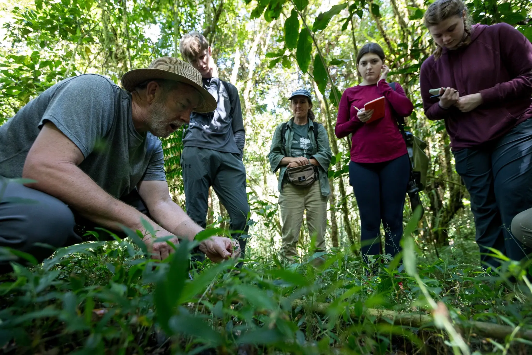 Research or volunteer in the Cloud Forest of Costa Rica