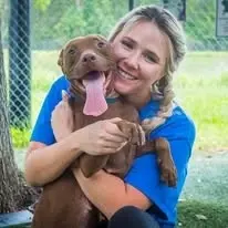 Help shelter dogs and puppies find new homes