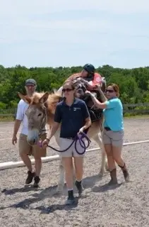 Equine-Assisted Therapy Program (Horses)
