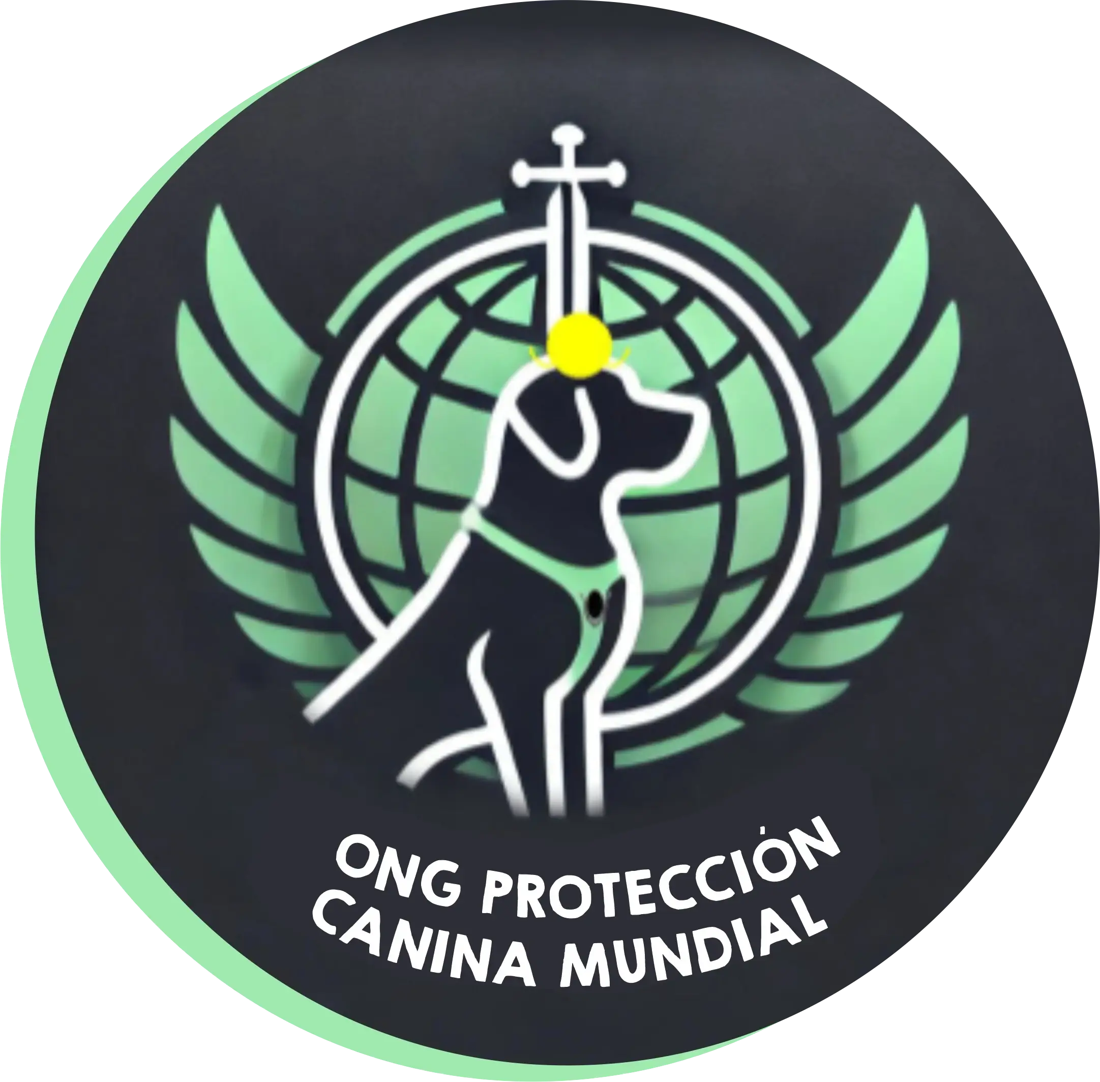 Voluntariado Virtual para Salvar Perros en Colombia – ¡Apoya desde cualquier lugar!