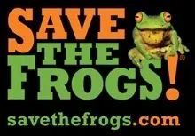 Graphic Designer for Save The Frogs
