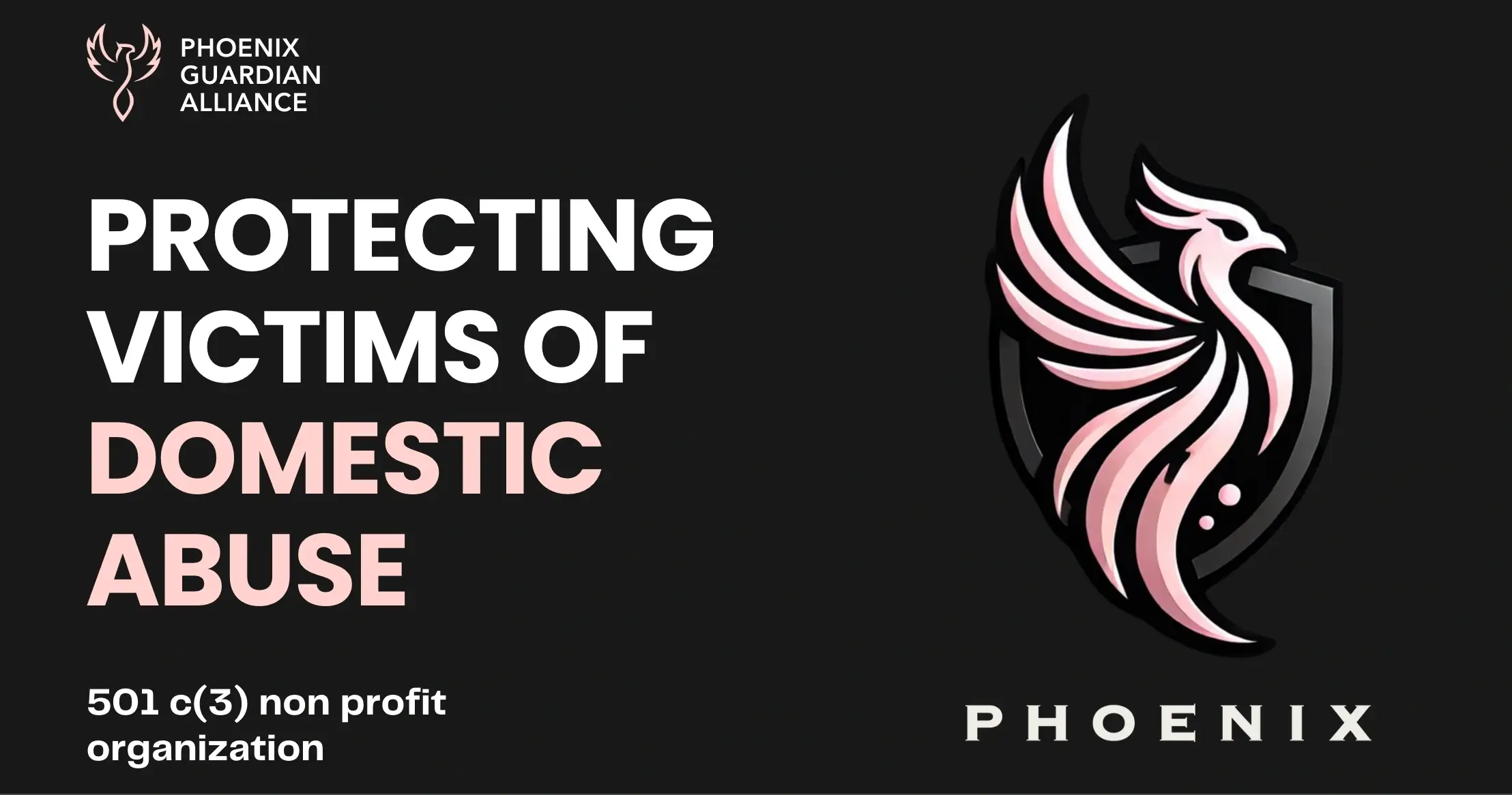 Founding Team for Non profit : Protecting and Empowering Victims of Domestic Abuse