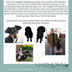 Volunteer therapy animals needed in Mahoning County