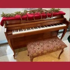 Pianist/Musician