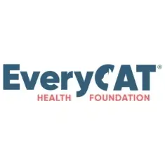 Help EveryCat at the Austin Cat Fanciers "Day of the Dead"