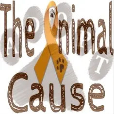 Animal Welfare 501(c)(3) Organization Event Volunteer