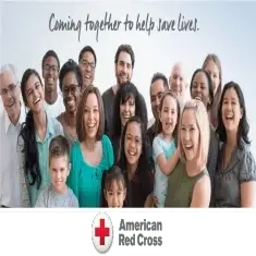 Work Remotely as a Volunteer Services Team Member (North Florida Region)