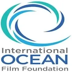 Board of Directors, Member - Communications and Marketing Committee Chair