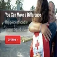 Disaster Mental Health Team Member