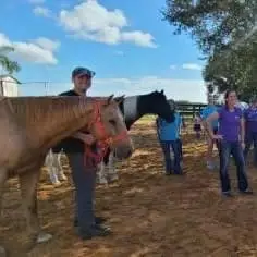 Do you love horses? Horse care, barn help and Handlers for Therapy Classes needed