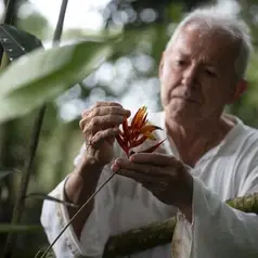 Imagen de: COLOMBIA - Mogambo, Refugio de saberes tradicionales