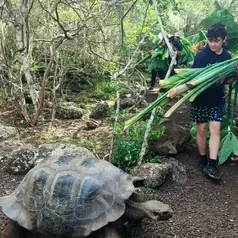 Imagen de: ECUADOR 8/8 - Alimentación de tortugas en islas Galápagos