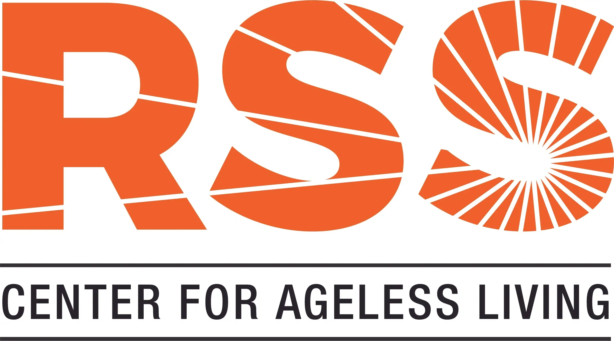 Technology Training Volunteer at RSS: The Center for Ageless Living