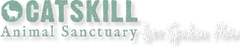 Executive Director