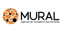 Analista de Redes Sociais e Comunidades