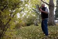 Seasonal Yard Cleanup