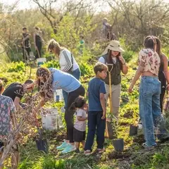 Personas plantando árboles