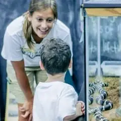 Stone Zoo Ambassador