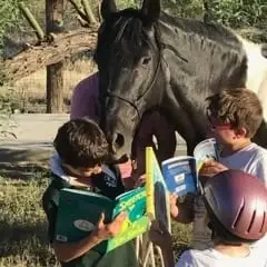 Do you like horses? - Volunteer with an equine therapist!