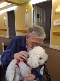 Man's Best Friend - Pet Companion