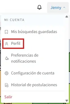 Captura de pantalla con un círculo señalando Perfil.