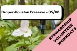 WILDFLOWER RANGERS STEWARDSHIP VOLUNTEER WORKDAY