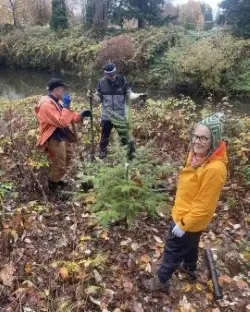 Riverton Creek - Restore Cottonwood Corner