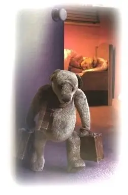 Colorado ONLY Teddy Bear Collectors for Kids in Crisis