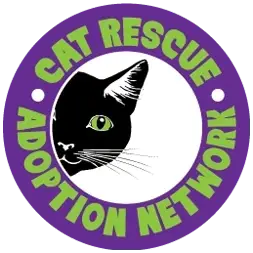 Volunteer Coordinator/Recruiter
