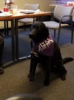 A Volunteer and their Pet is needed to visit hospice patients