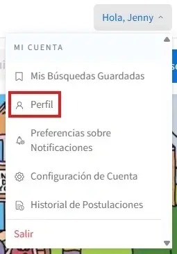 Captura de pantalla con un círculo señalando Perfil.