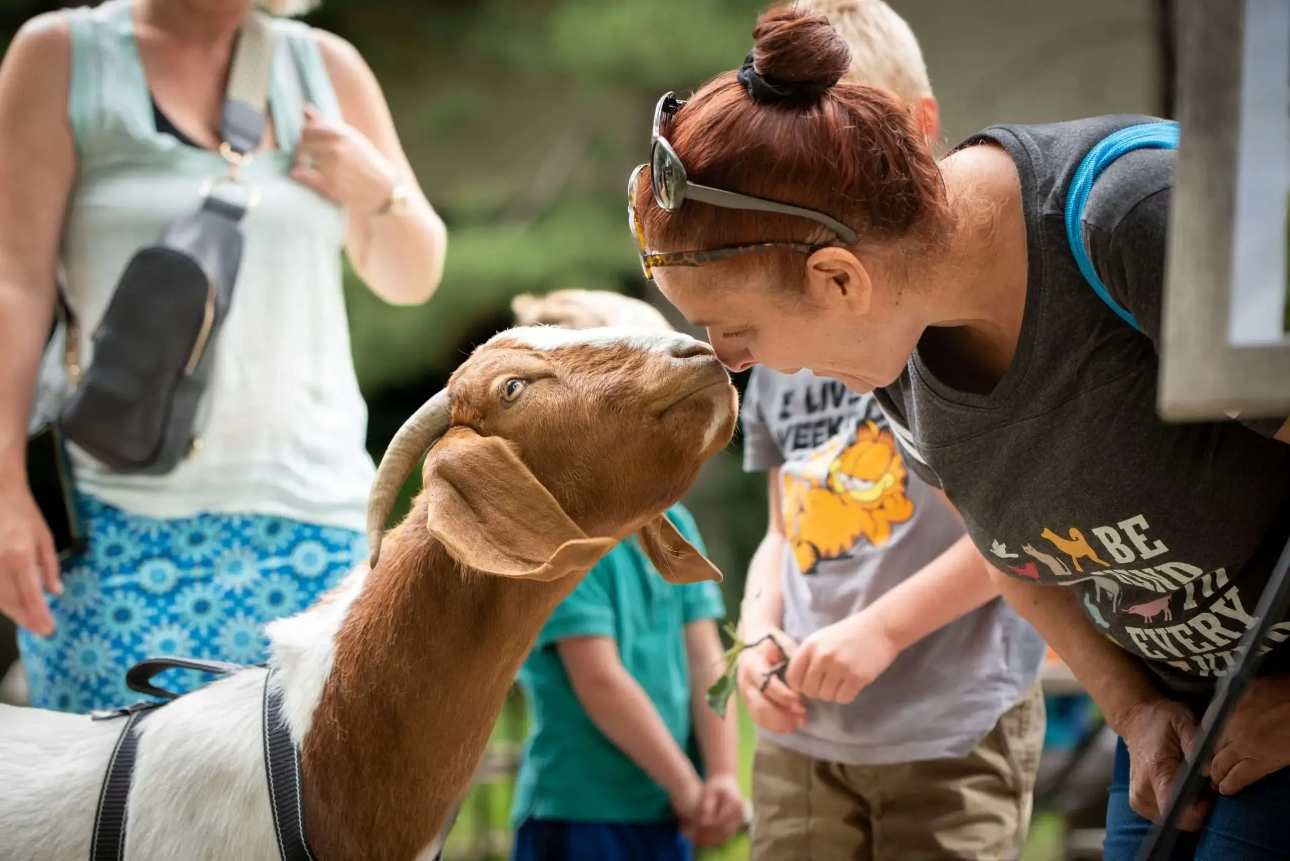 Volunteers needed for non-profit food festival in Bethesda, Maryland