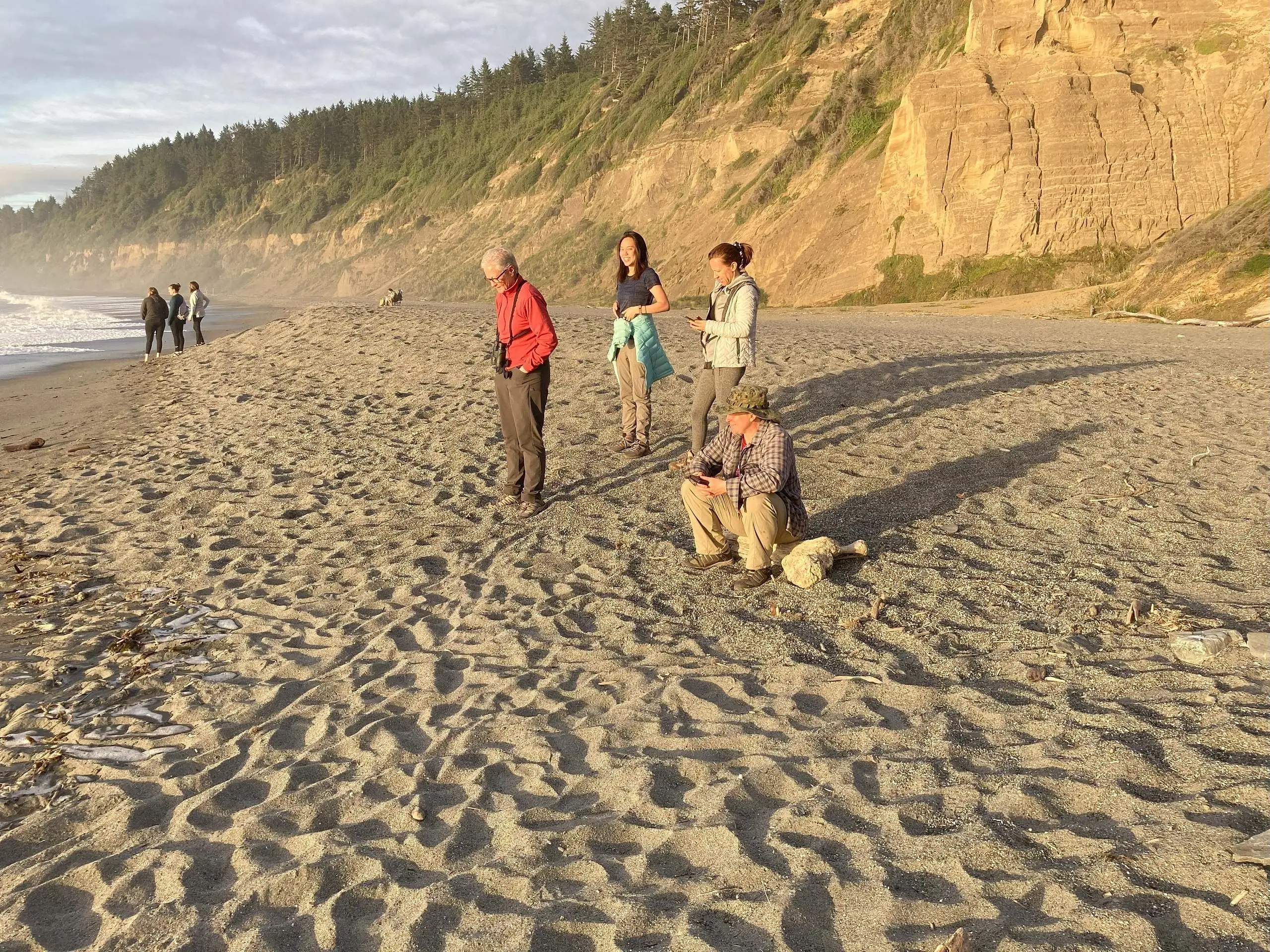 (All Women+ Crew) Loved Coastal Trail among Giants: Redwood National and State Parks, CA – Volunteer Vacations 2025