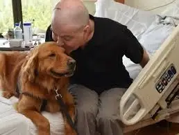 Pet Therapy for Hospice Patients for CARIS Healthcare