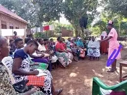 Opportunity to Offer Your Expertise While Traveling Abroad (Pro Bono Consulting Projects Available for High-Skilled Volunteers to Support Vetted and Verified NGOs)--18 Host Organizations in Uganda