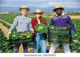 Agriculture( Sustainable Organic Farming) for Interns and Volunteers